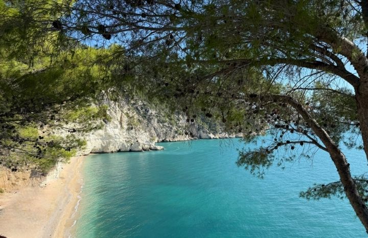 Widok na plaże Baia delle Zagare na Półwyspie Gargano we Włoszech